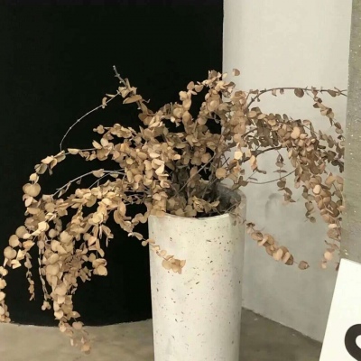 漳县福瑞交流群